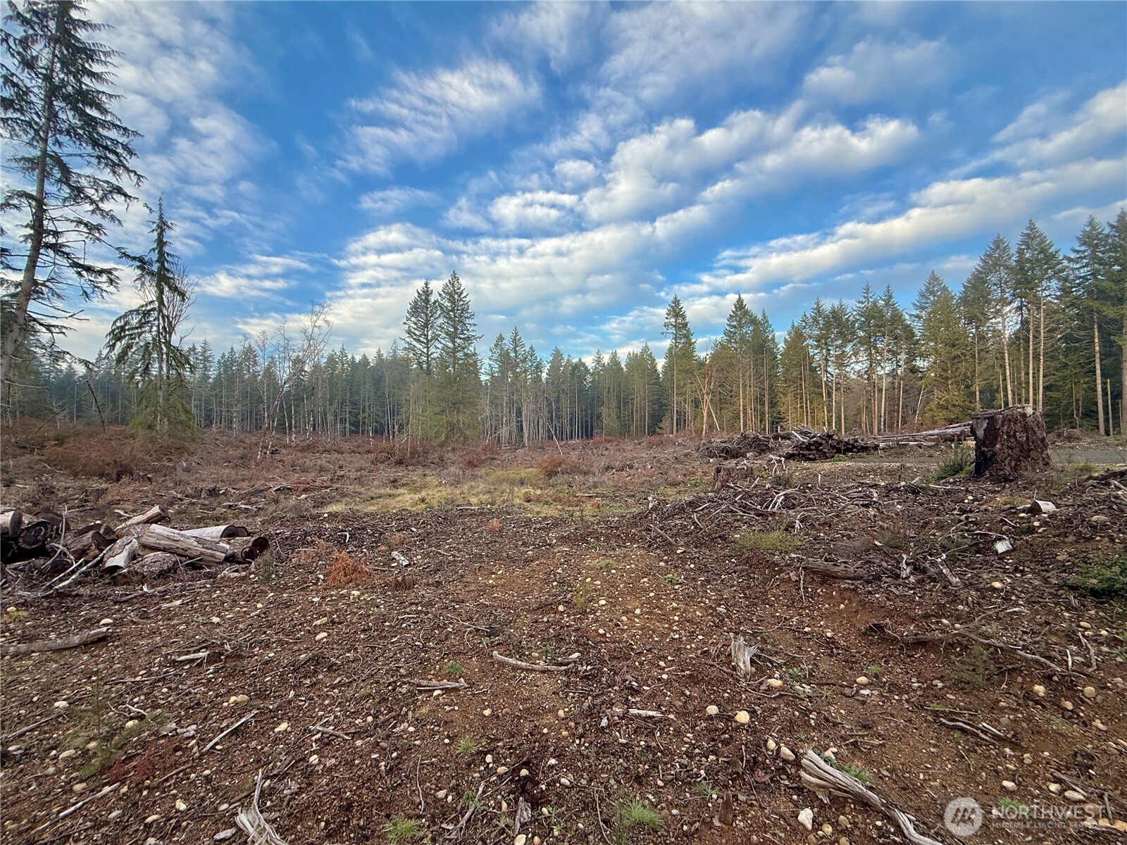 260 East Solbakk Veien Road Shelton, WA 98584 - Photo 28 of 38 a view of outdoor space with green space