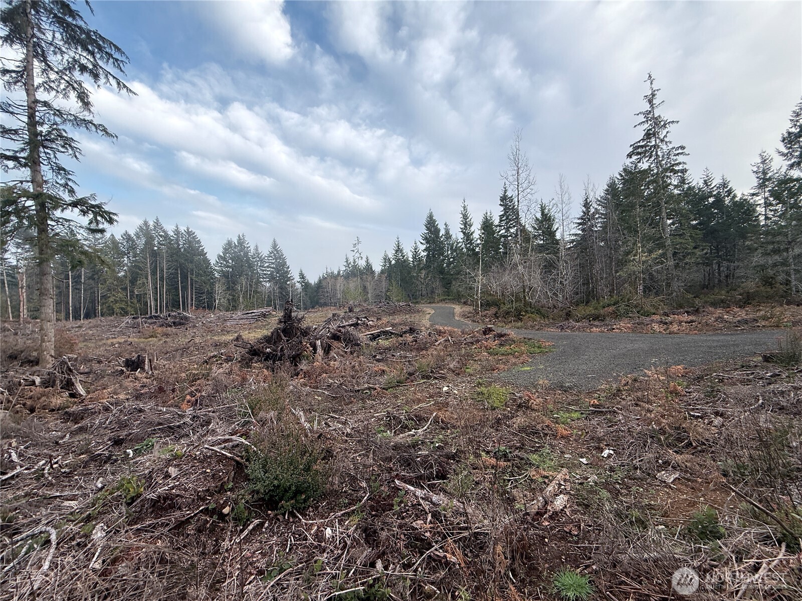 260 East Solbakk Veien Road Shelton, WA 98584 - Photo 30 of 38 a view of a large yard with lots of green space