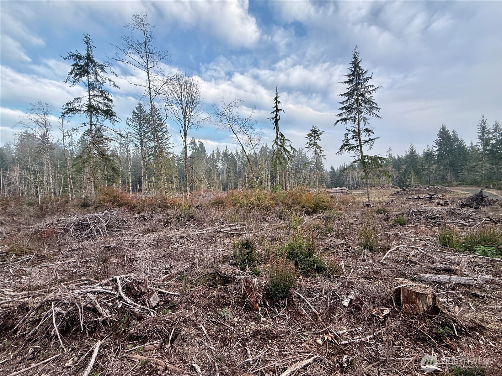 260 East Solbakk Veien Road Shelton, WA 98584 - Photo 31 of 38