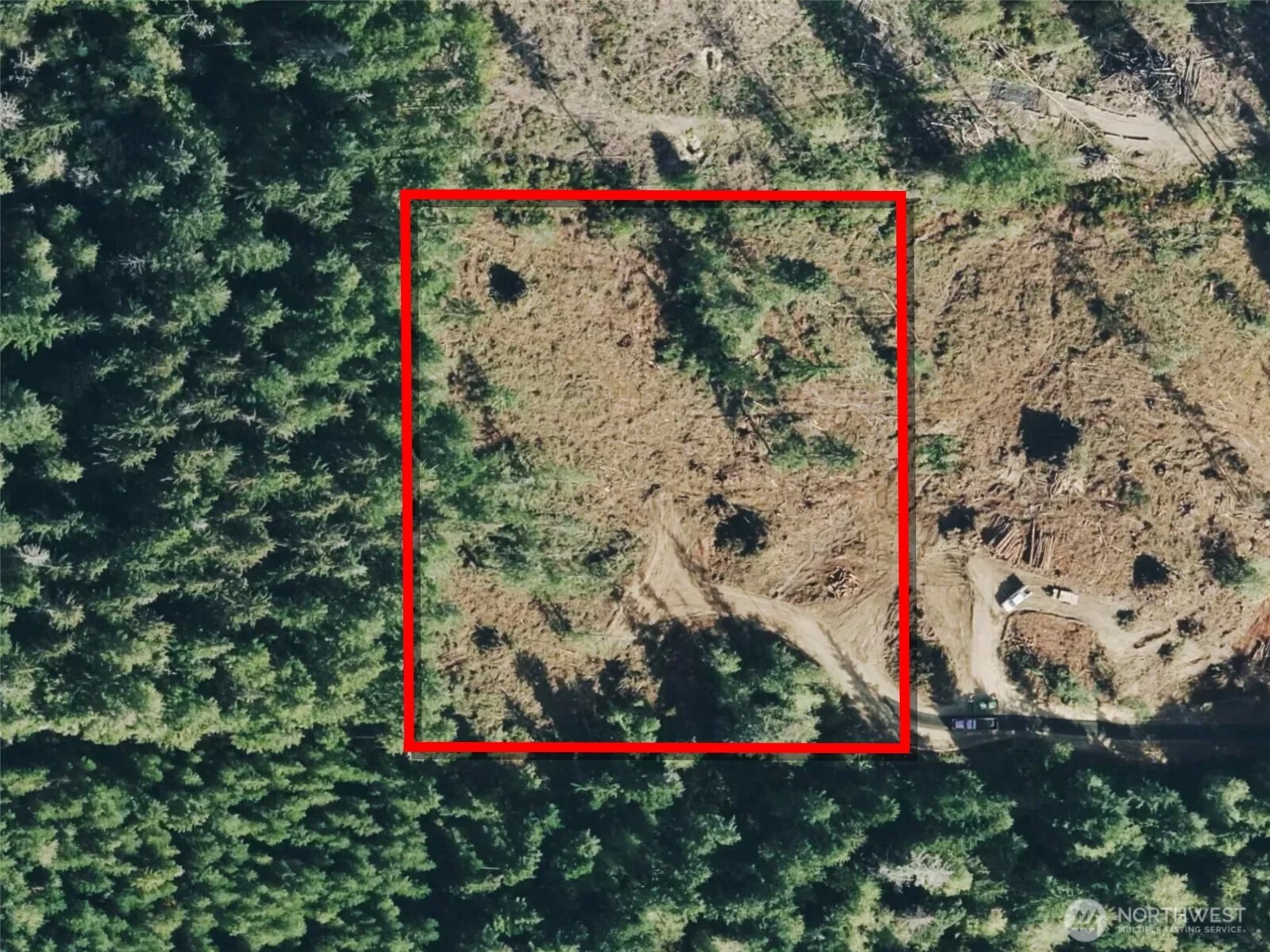 260 East Solbakk Veien Road Shelton, WA 98584 - Photo 32 of 38