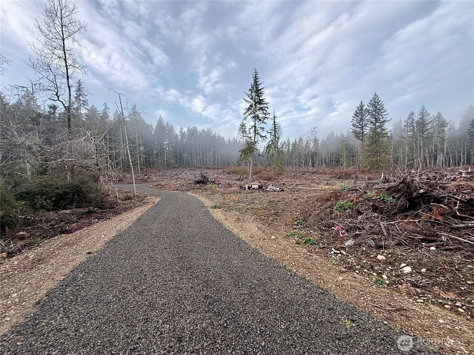 260 East Solbakk Veien Road Shelton, WA 98584 - Photo 33 of 38 a view of a dry yard with trees