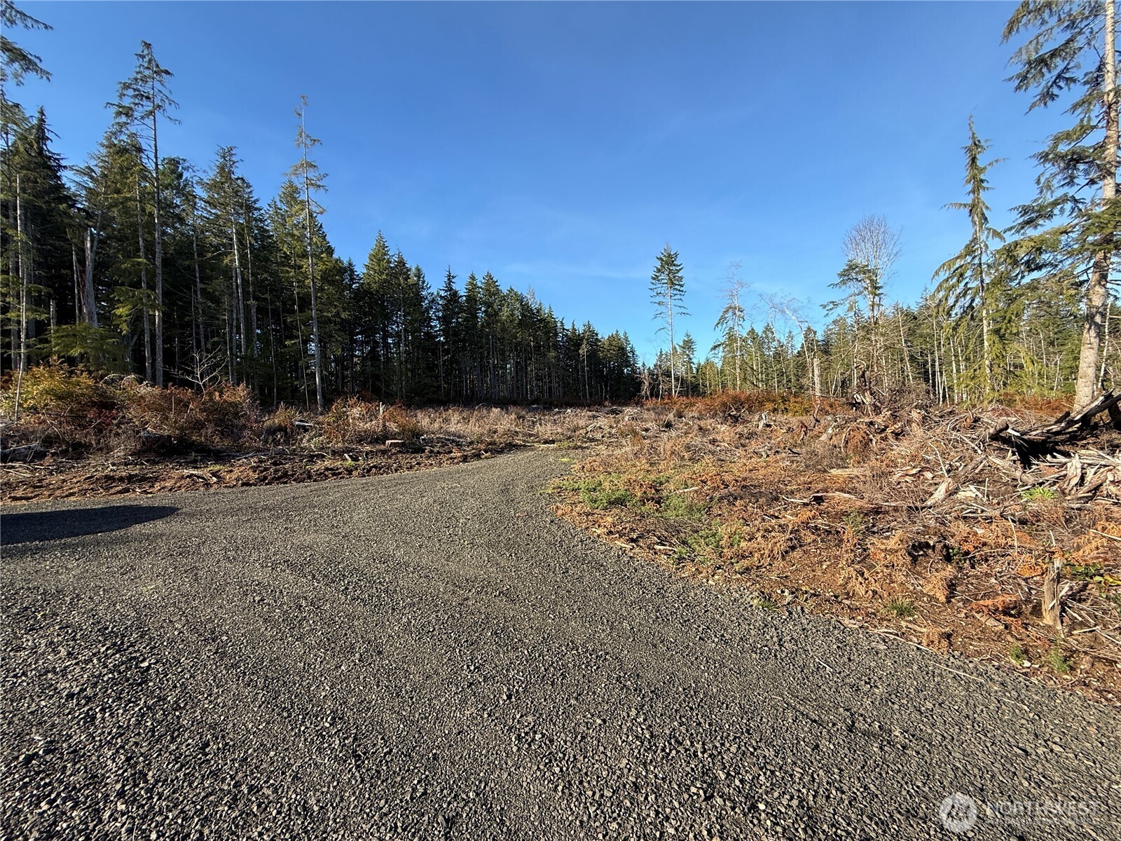 260 East Solbakk Veien Road Shelton, WA 98584 - Photo 34 of 38