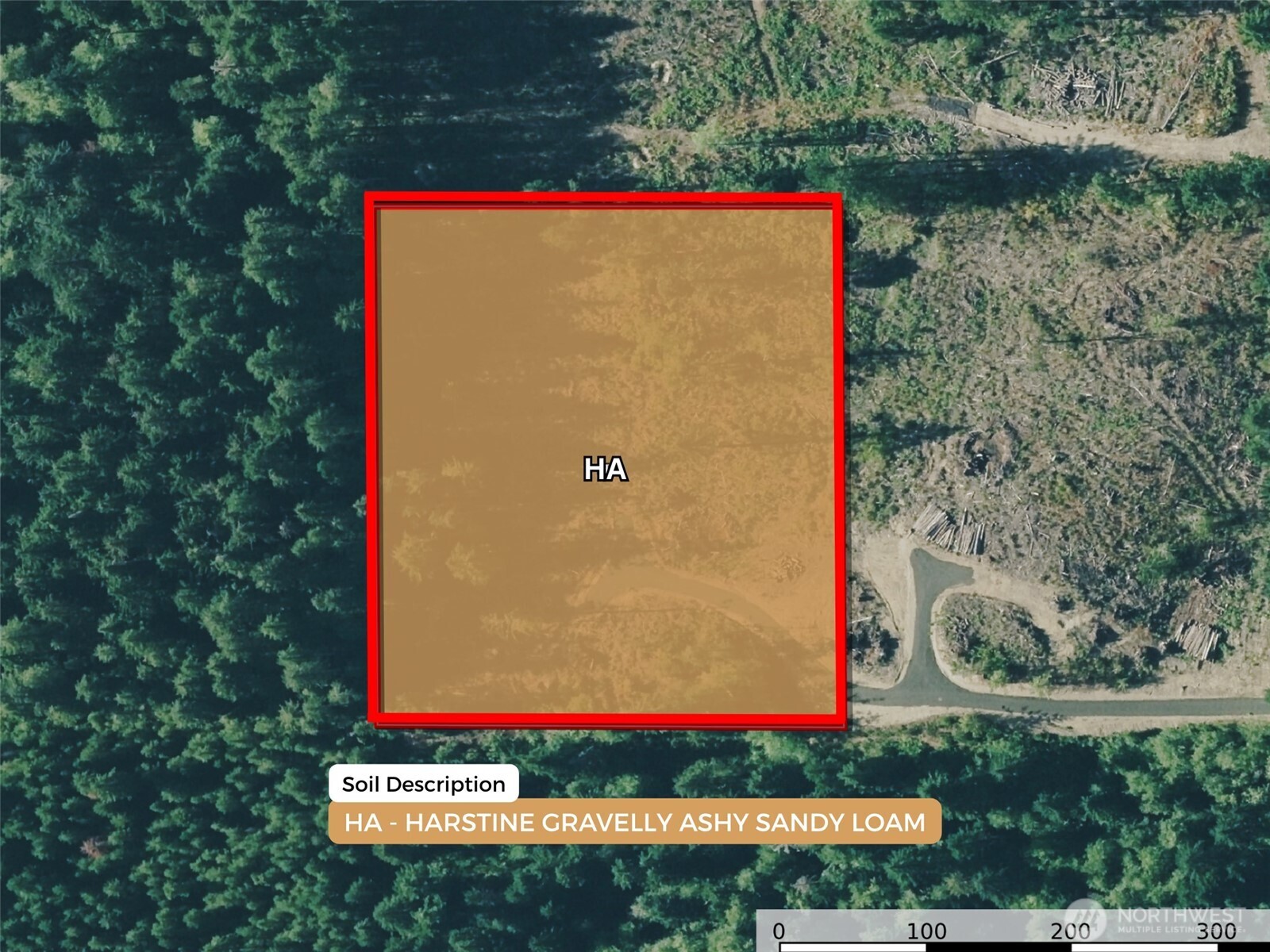 260 East Solbakk Veien Road Shelton, WA 98584 - Photo 37 of 38 a view of a wooden house with a small yard and large trees