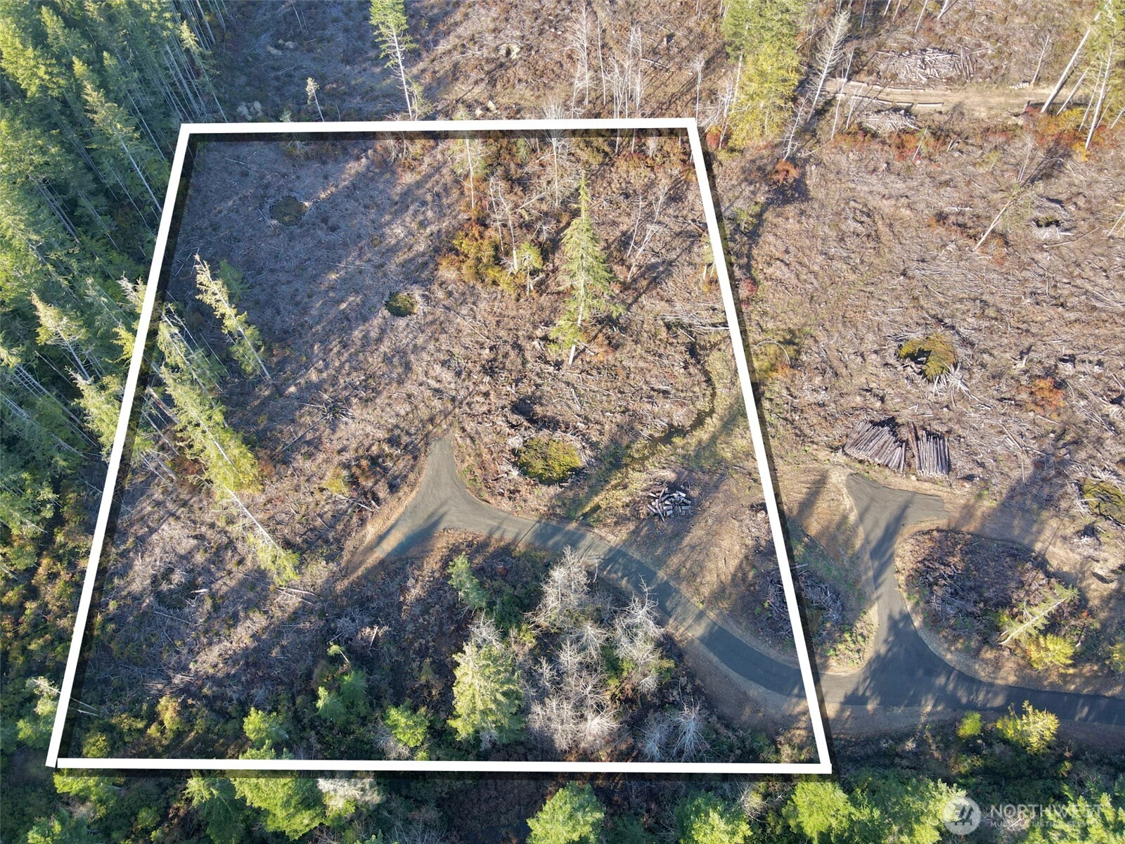 260 East Solbakk Veien Road Shelton, WA 98584 - Photo 8 of 38