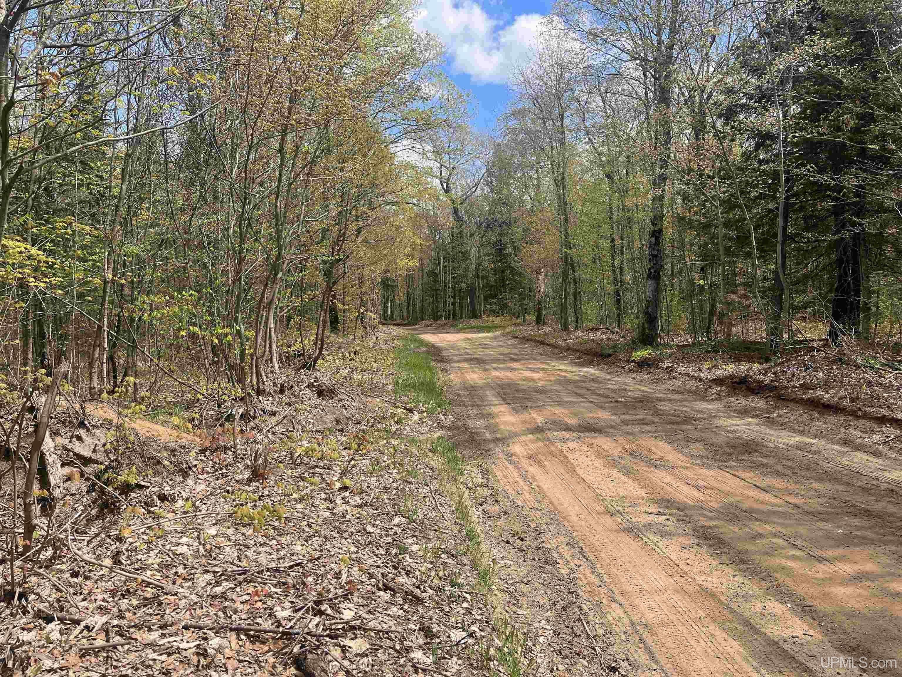 450 Rd Seney Mi 49883 Road Seney, MI 49883 - Photo 6 of 33