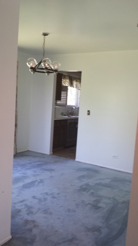 108 Deerpath Road Matteson, IL 60443 - Photo 17 of 22