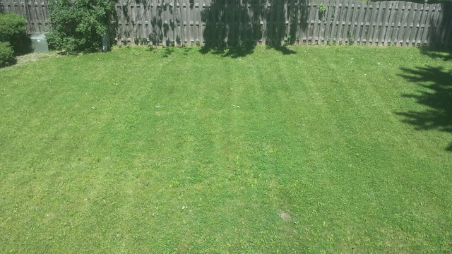 108 Deerpath Road Matteson, IL 60443 - Photo 7 of 22
