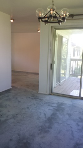 108 Deerpath Road Matteson, IL 60443 - Photo 9 of 22