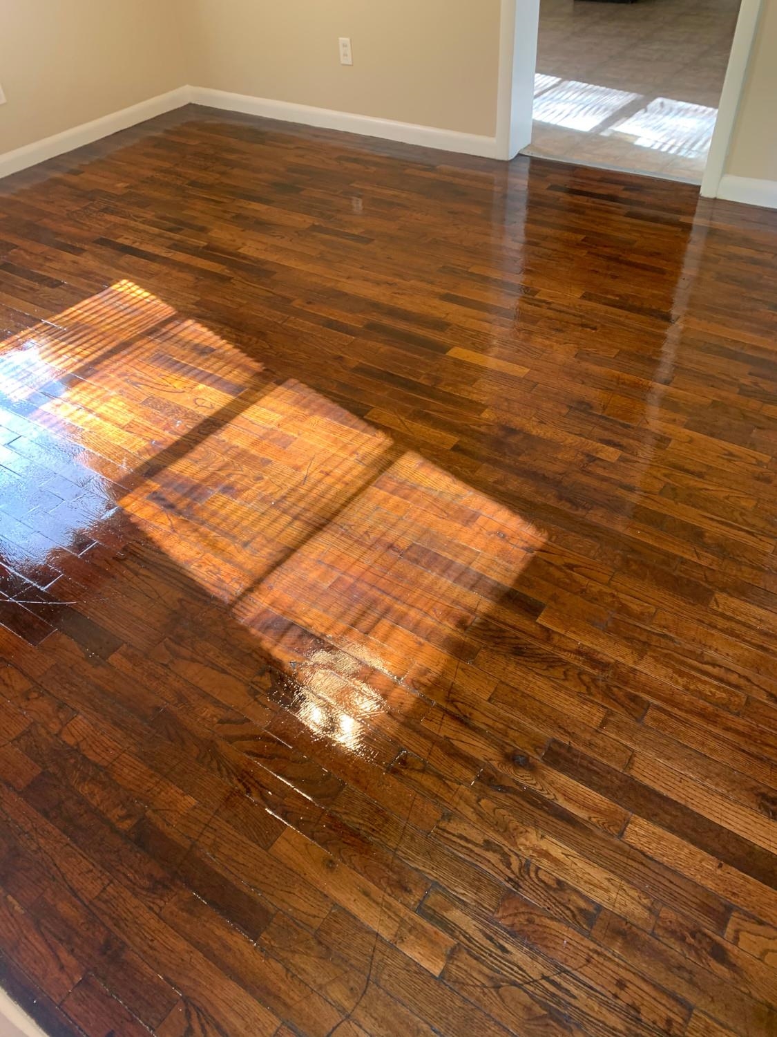 53 West Rollins Road Memphis, TN 38109 - Photo 14 of 16 a view of an ocean