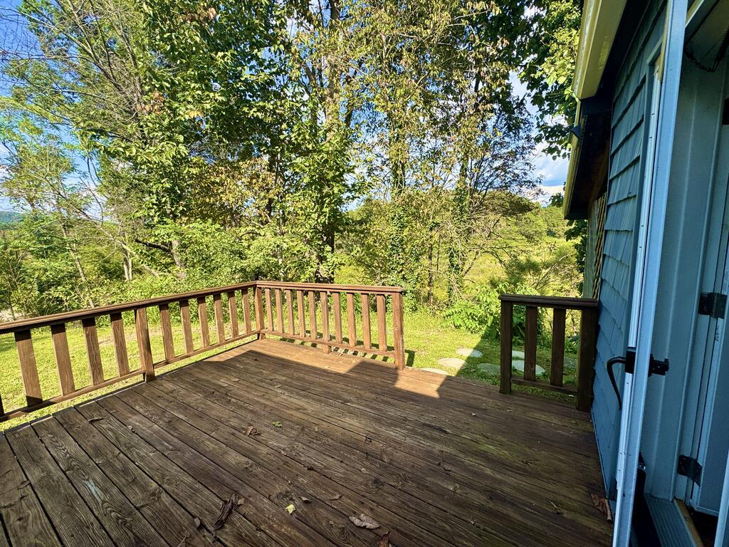 205 Phillipi Hollow Road Atkins, VA 24311 - Photo 10 of 11 Gallery Image 10