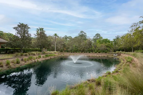 a view of a lake with trees by side of it