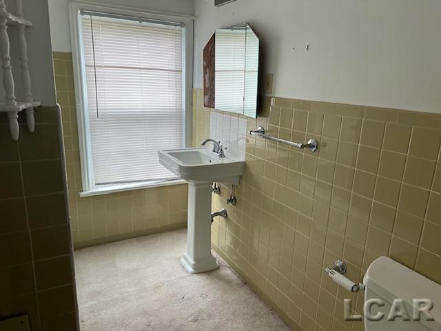 1010 West Valley Road Adrian, MI 49221 - Photo 17 of 42