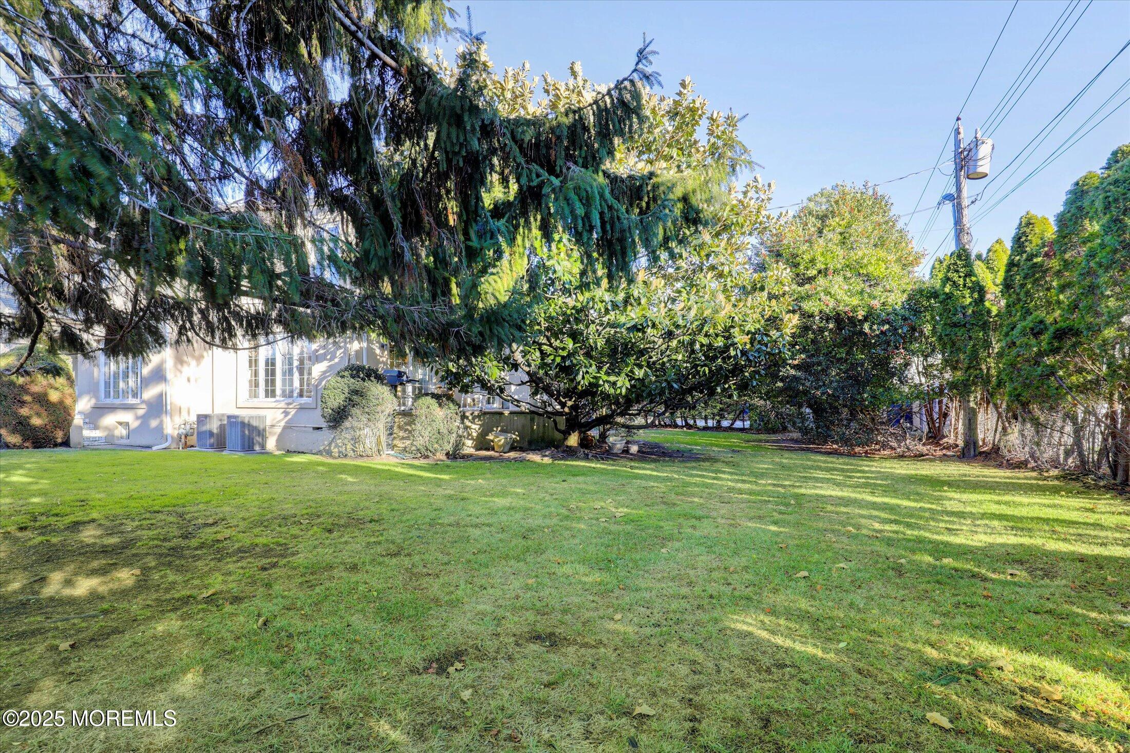 12 Woodford Road Deal, NJ 07723 - Photo 73 of 77 a view of a trees in a yard