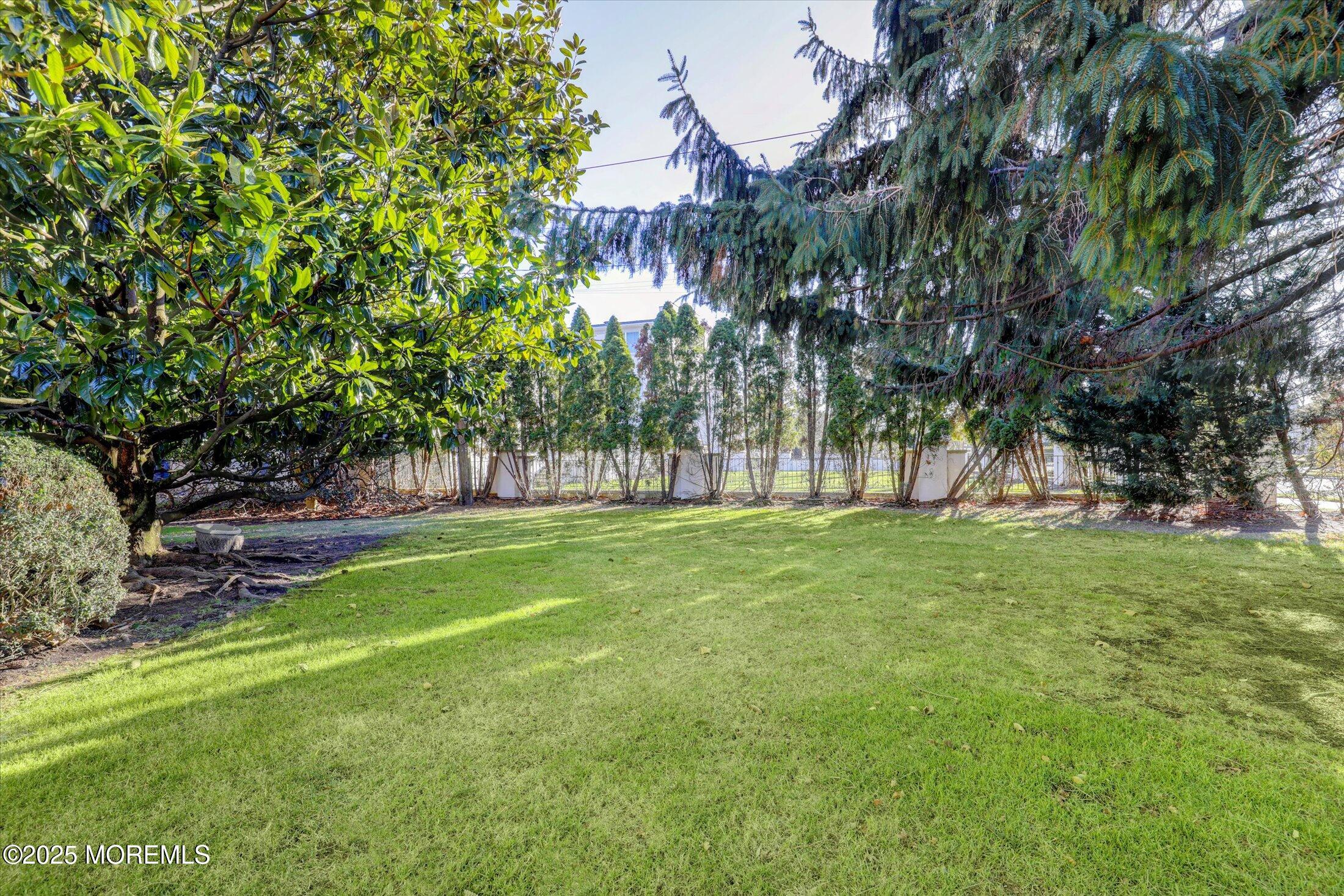 12 Woodford Road Deal, NJ 07723 - Photo 75 of 77 a view of a park with a tree