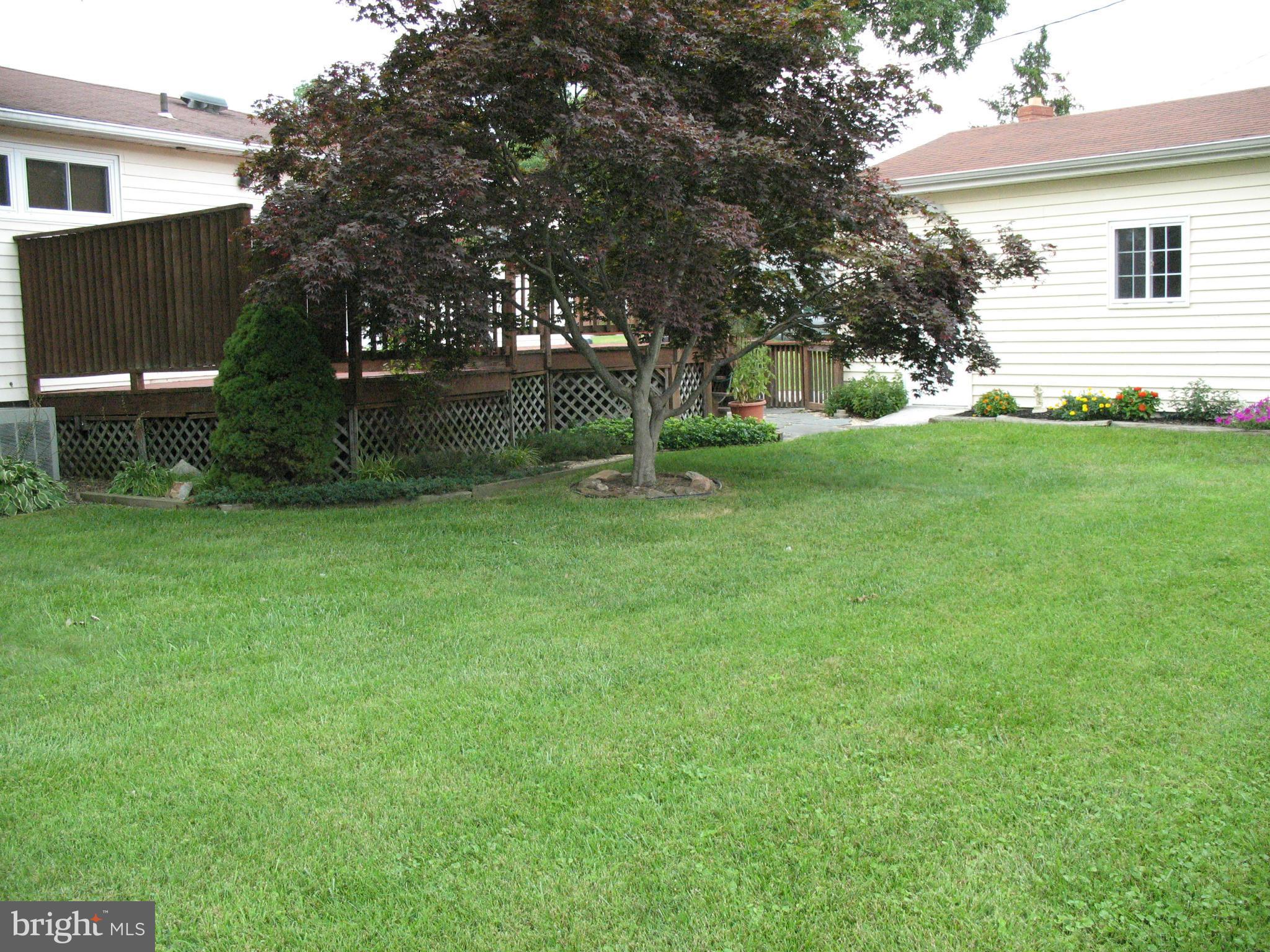 Exterior (Rear)
