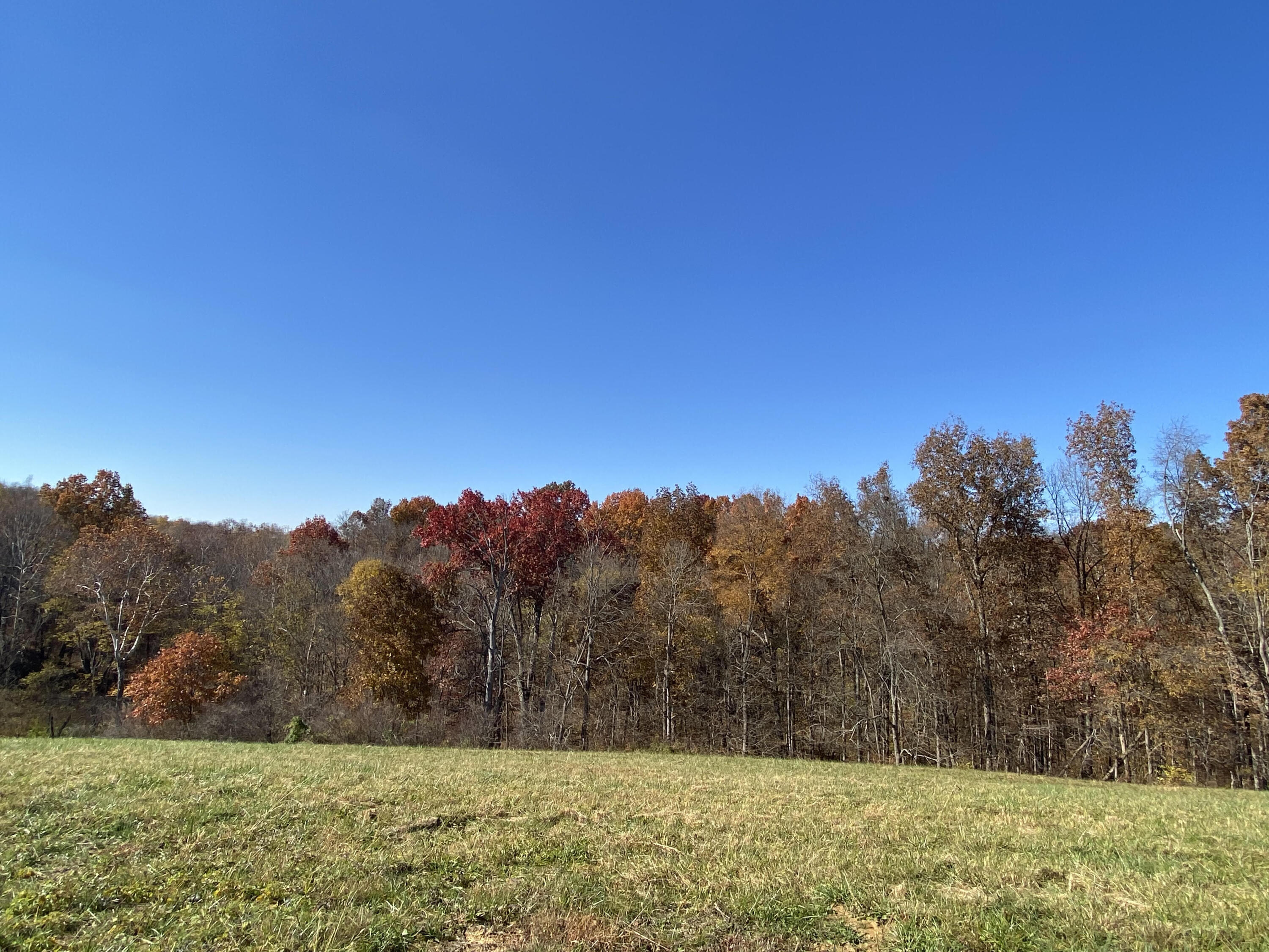 22007 Upper Lick Road, Unit TRACT #6 Carlisle, KY 40311 - Photo 2 of 5 02