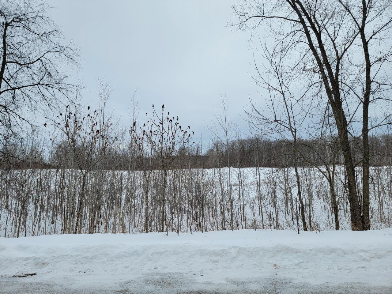 N2149 Trout Road Antigo, WI 54409 - Photo 6 of 6 Gallery Image 6