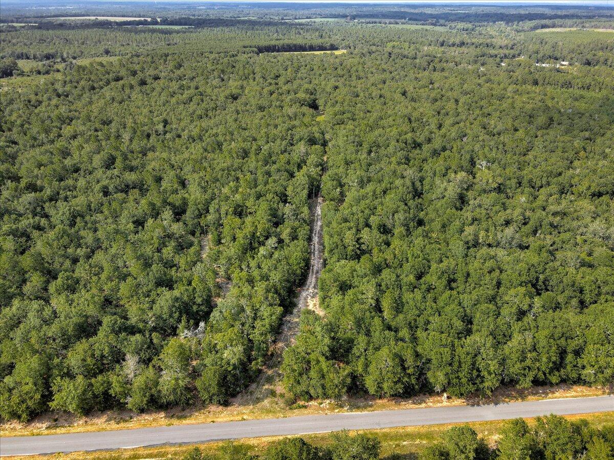 0 Millers Pond Road, Unit 4 Salley, SC 29137 - Photo 3 of 18