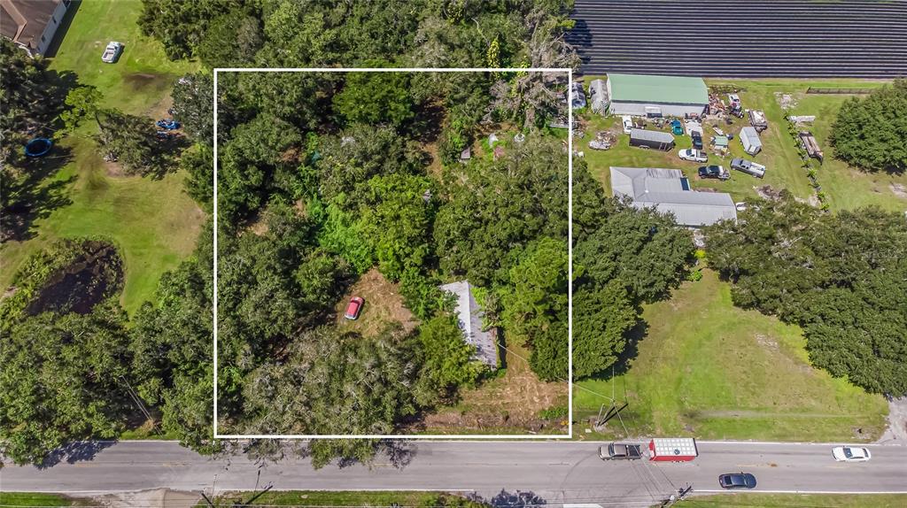 2909 South Forbes Road Dover, FL 33527 - Photo 1 of 1 a view of a garden