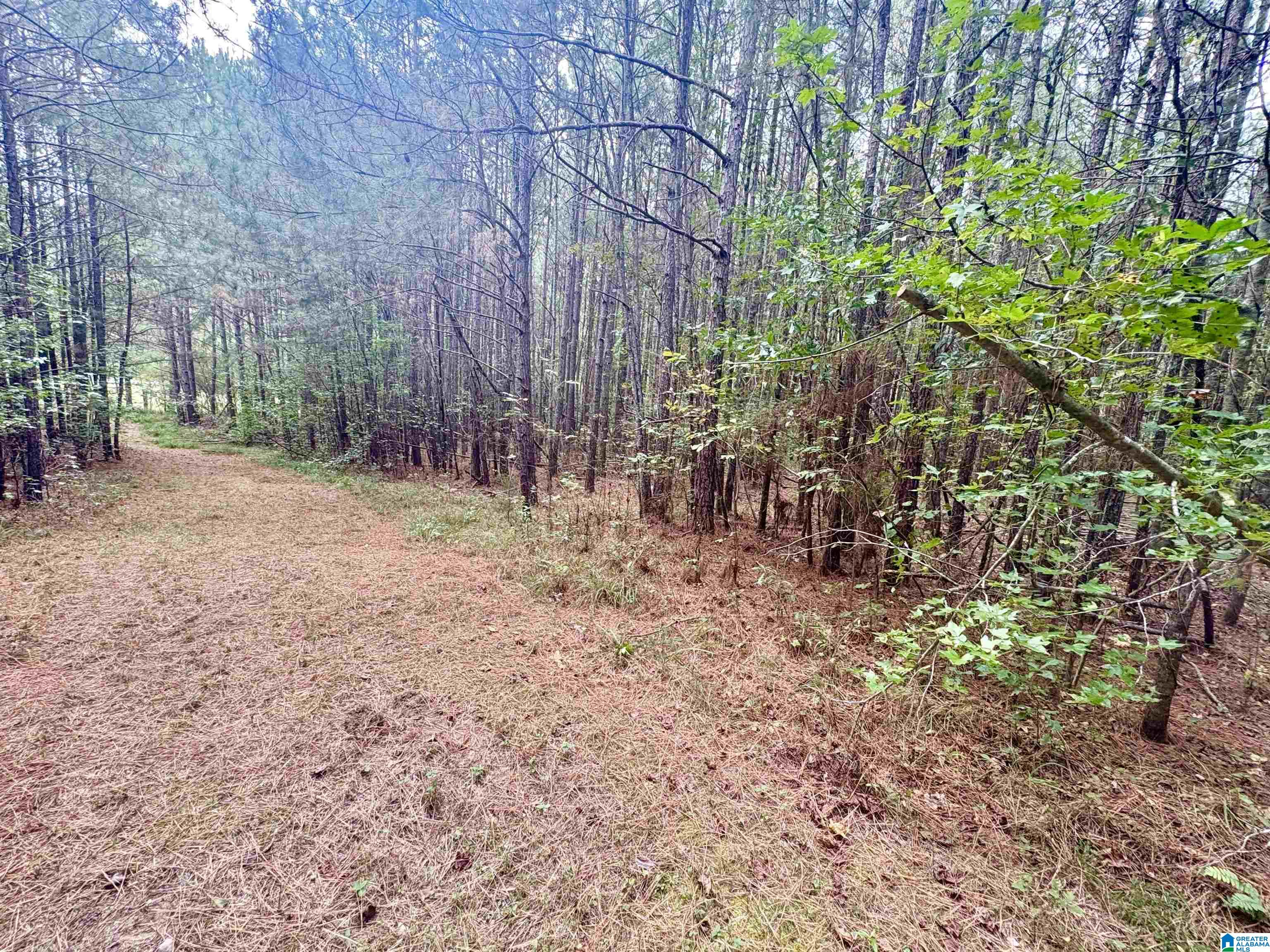 55 Honeycutt Road, Unit 55 Remlap, AL 35133 - Photo 13 of 21