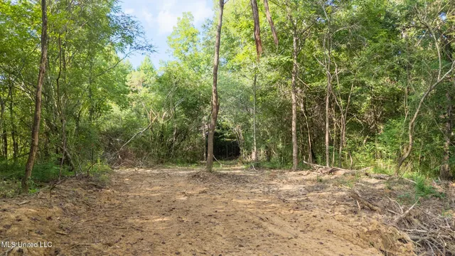 $289,000 | 266 Highway 310, Waterford, MS 38685