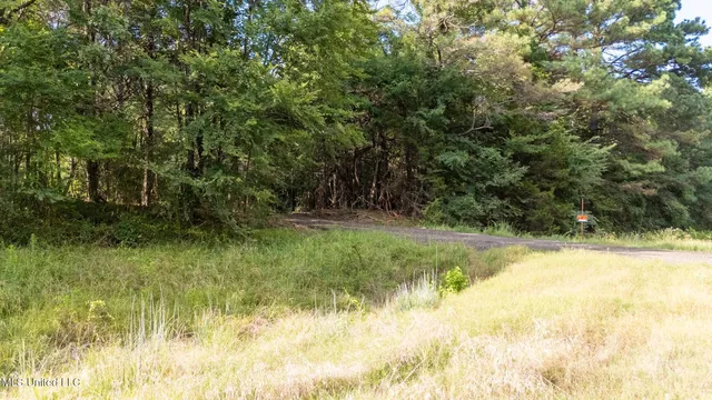 $289,000 | 266 Highway 310, Waterford, MS 38685