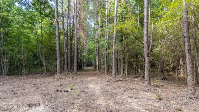 $289,000 | 266 Highway 310, Waterford, MS 38685