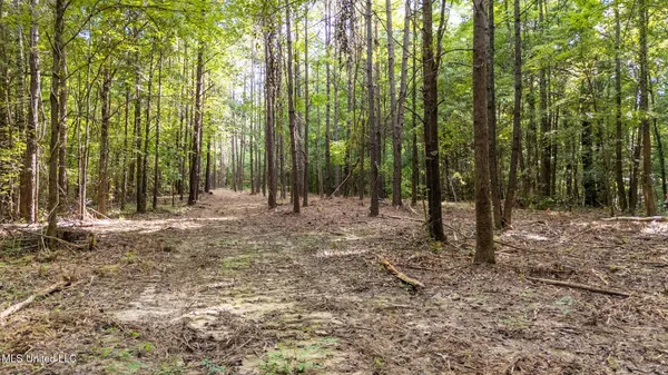 $249,900 | 266 Highway 310, Waterford, MS 38685