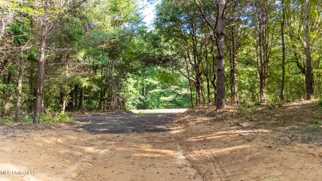 $289,000 | 266 Highway 310, Waterford, MS 38685