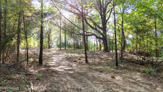 $289,000 | 266 Highway 310, Waterford, MS 38685