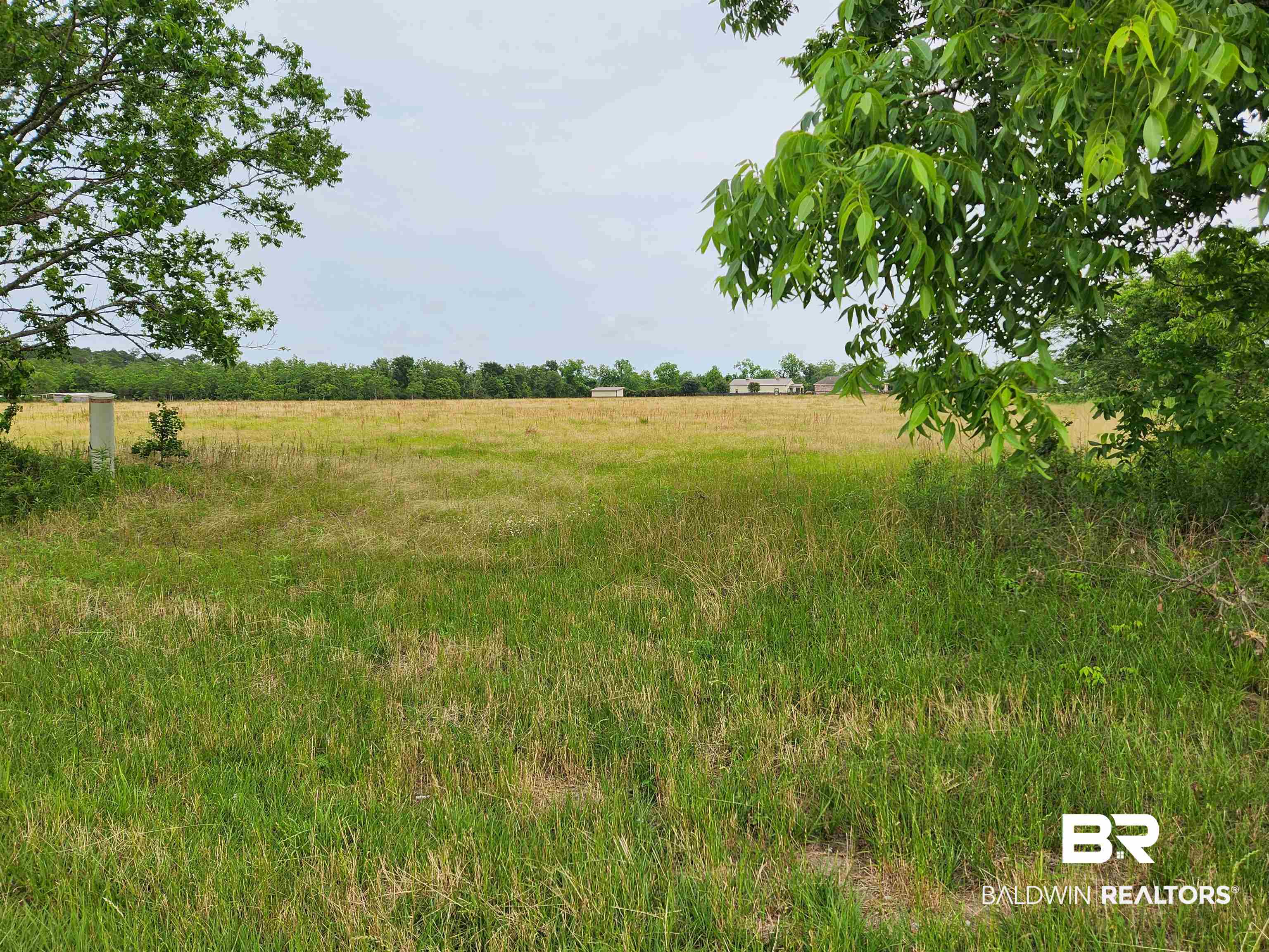 0 County Road 10 Foley, AL 36535 - Photo 5 of 6