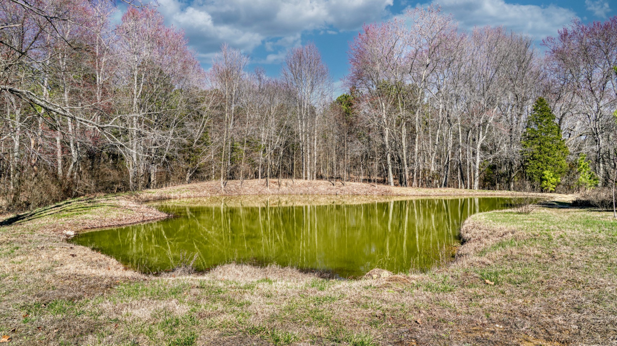 1368 Tidwell Switch Road Dickson, TN 37055 - Photo 59 of 69 a view of a swimming pool with a yard