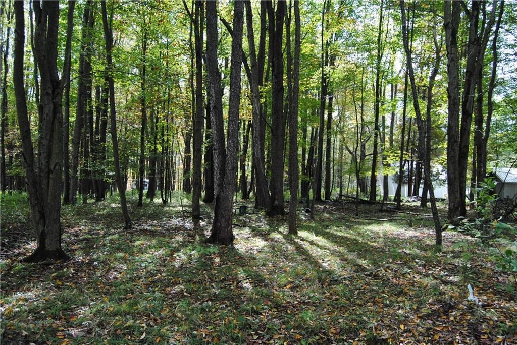 0 Chestnut Street Mount Jewett, PA 16740 - Photo 2 of 14 a big yard with lots of green space and trees