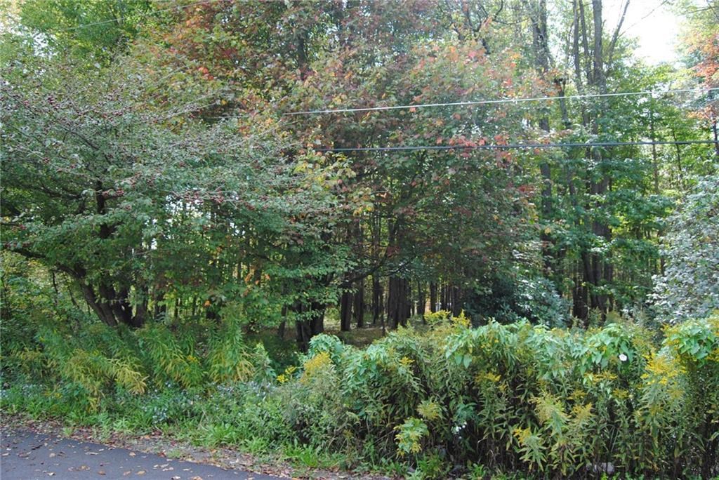 0 Chestnut Street Mount Jewett, PA 16740 - Photo 5 of 14 a view of a forest with a tree