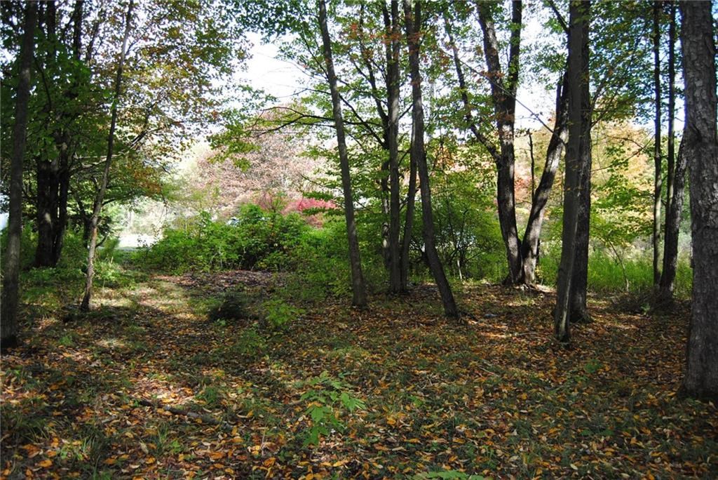 0 Chestnut Street Mount Jewett, PA 16740 - Photo 6 of 14 a big yard with lots of green space and trees all around