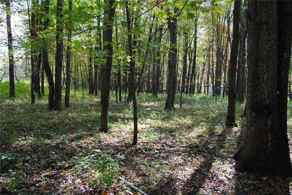 0 Chestnut Street Mount Jewett, PA 16740 - Photo 9 of 14 a view of trees in the forest