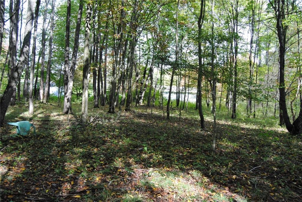 0 Chestnut Street Mount Jewett, PA 16740 - Photo 10 of 14 a view of outdoor space and trees