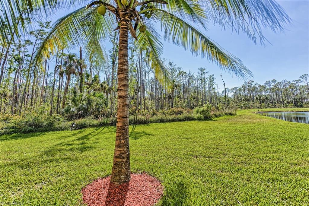 9719 Acqua Court, Unit 228 Naples, FL 34113 - Photo 22 of 35 a garden with lots of palm trees