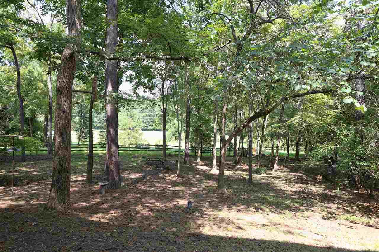 202 Manor Ridge Road Carrboro, NC 27510 - Photo 20 of 25 a view of a forest with trees