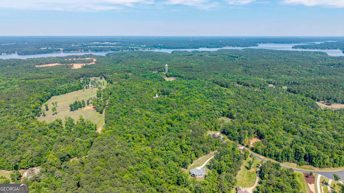 1360 Sailview Drive Buckhead, GA 30625 - Photo 13 of 37