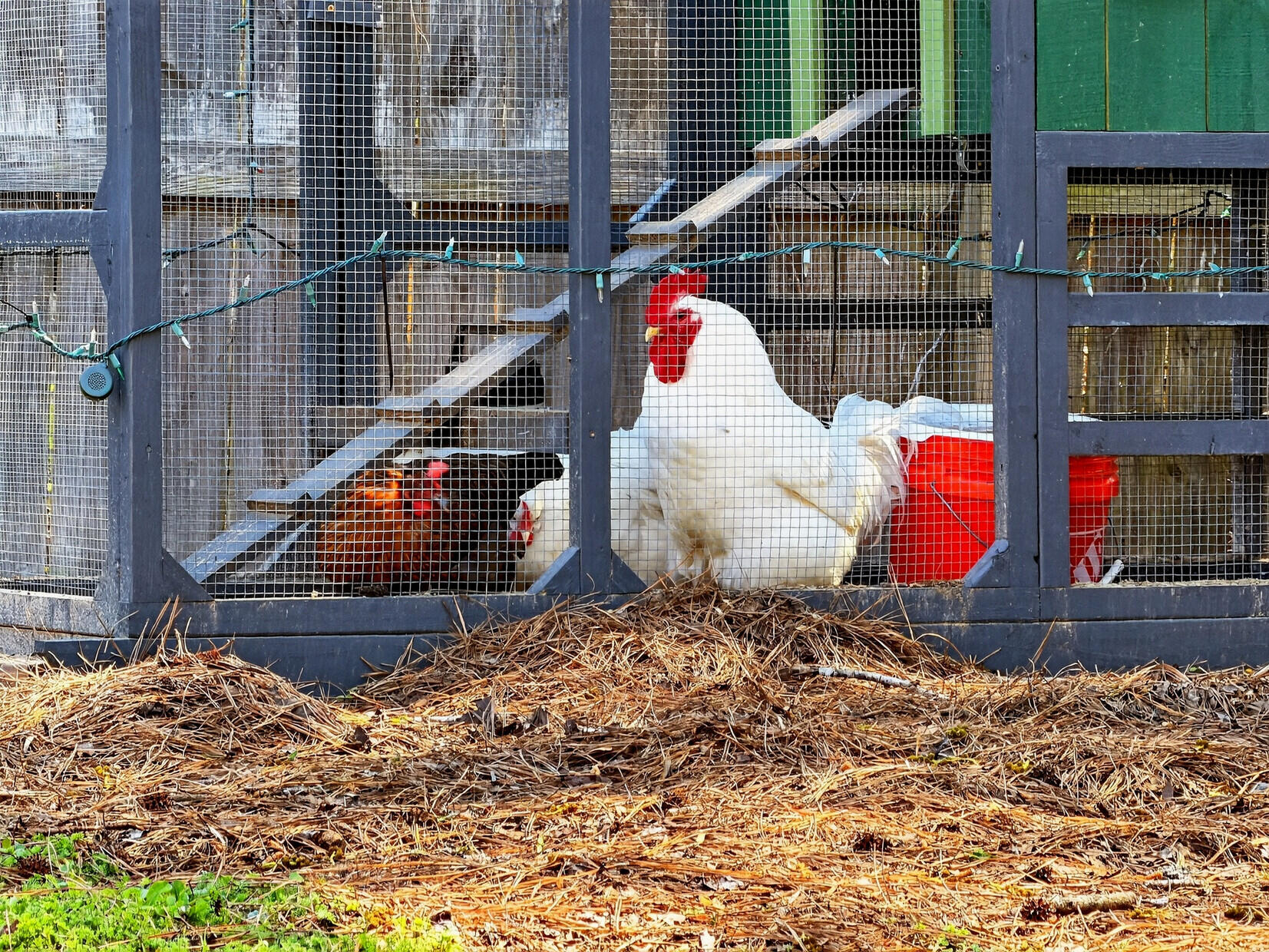 7389 Commodore Road Hollywood, SC 29449 - Photo 48 of 58 01_1_mls