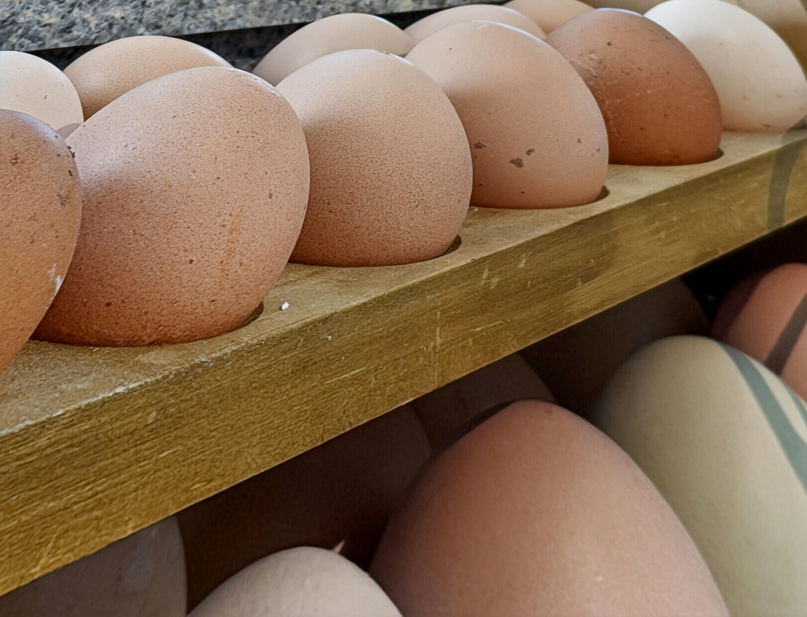 7389 Commodore Road Hollywood, SC 29449 - Photo 49 of 58 02_2_mls