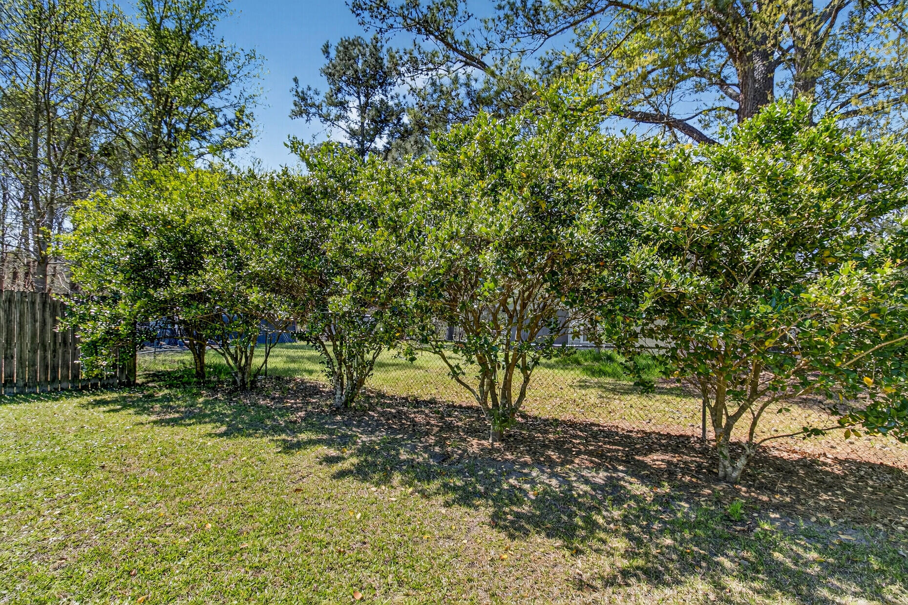 7389 Commodore Road Hollywood, SC 29449 - Photo 51 of 58 66_IMG_1492_mls