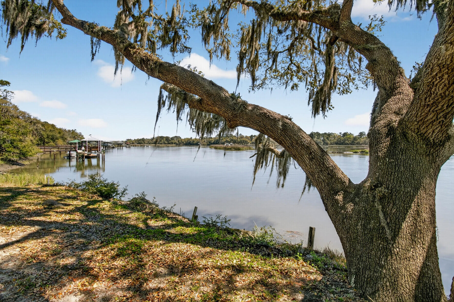 7389 Commodore Road Hollywood, SC 29449 - Photo 55 of 58 70_IMG_1509_mls