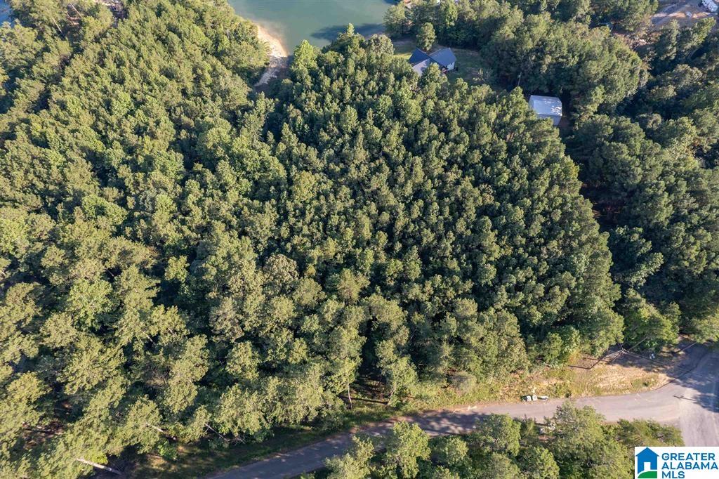 Lot D Camp Jimmy Goodwin Road, Unit LOT D Jasper, AL 35503 - Photo 7 of 13