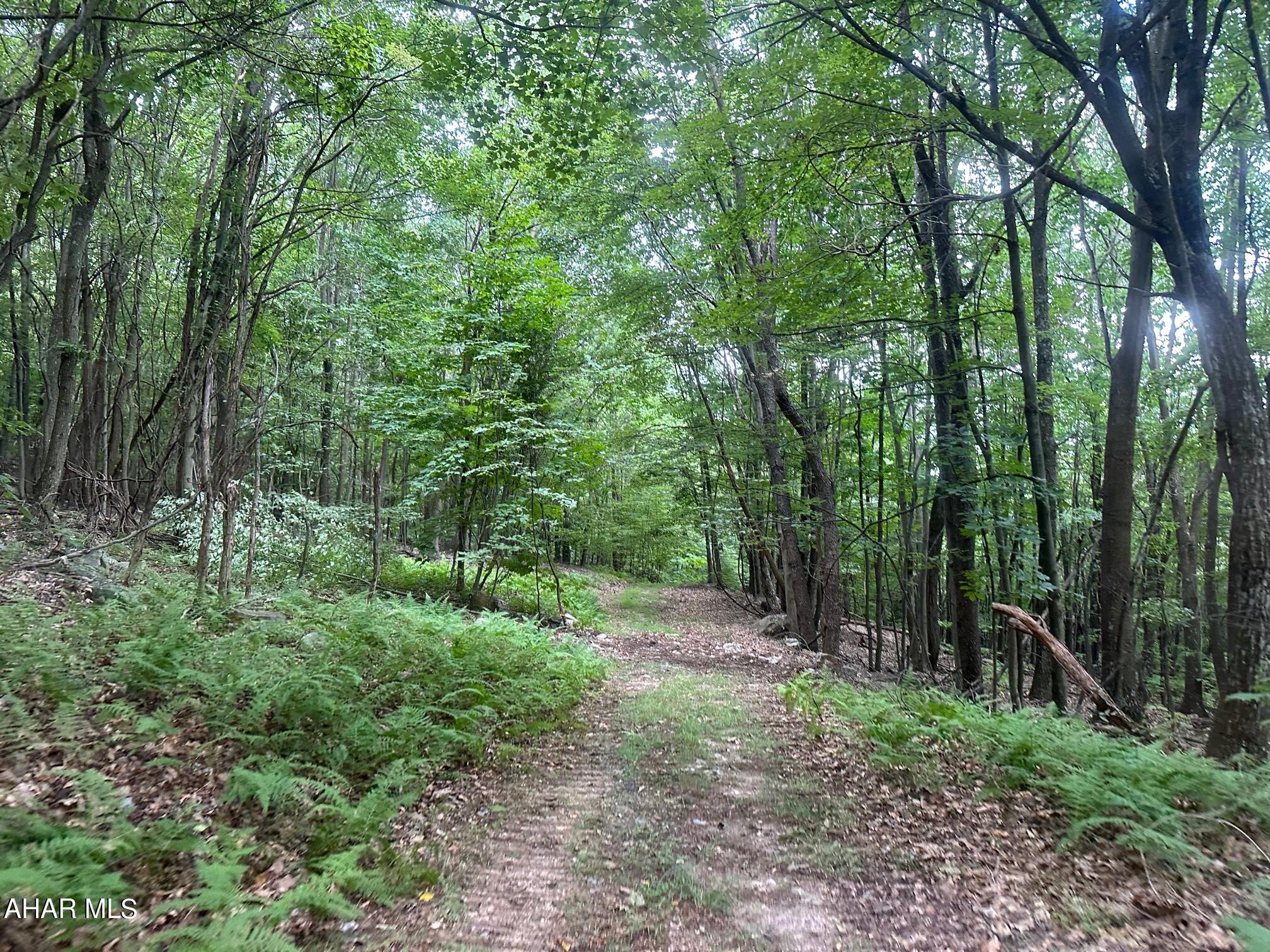 Lot #2 Louks Road Bedford, PA 15522 - Photo 4 of 9