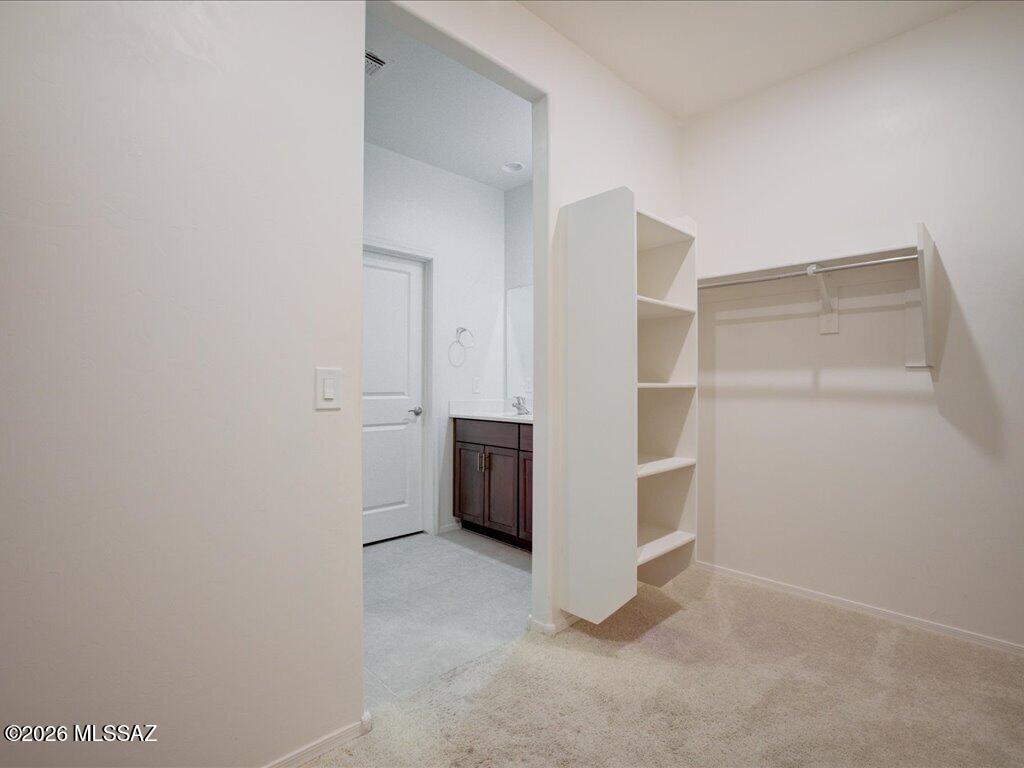14031 East Golden Oaks Road Vail, AZ 85641 - Photo 20 of 40 38-43Natural