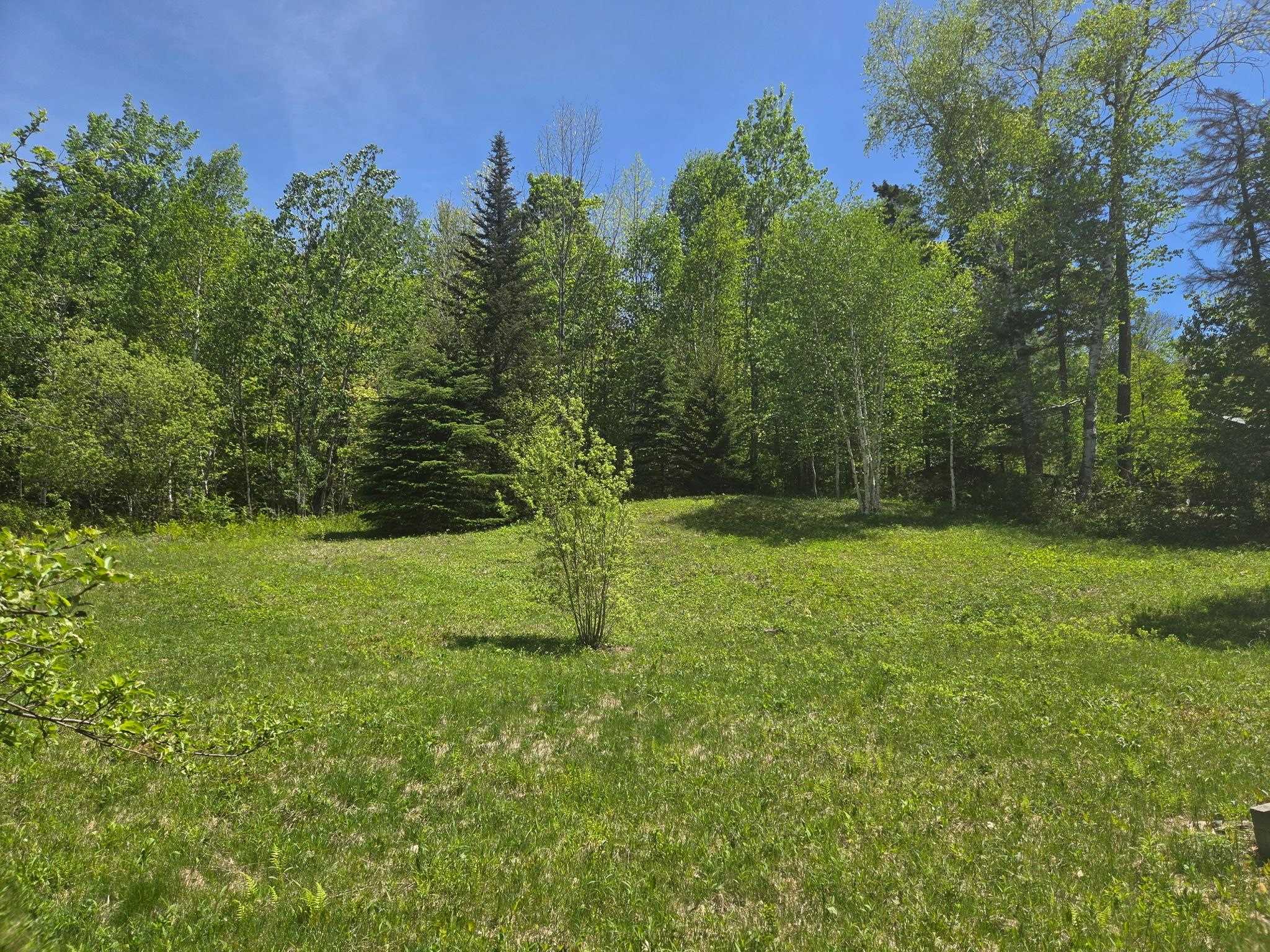 1440 Stevens Road Bridgewater, VT 05035 - Photo 2 of 22