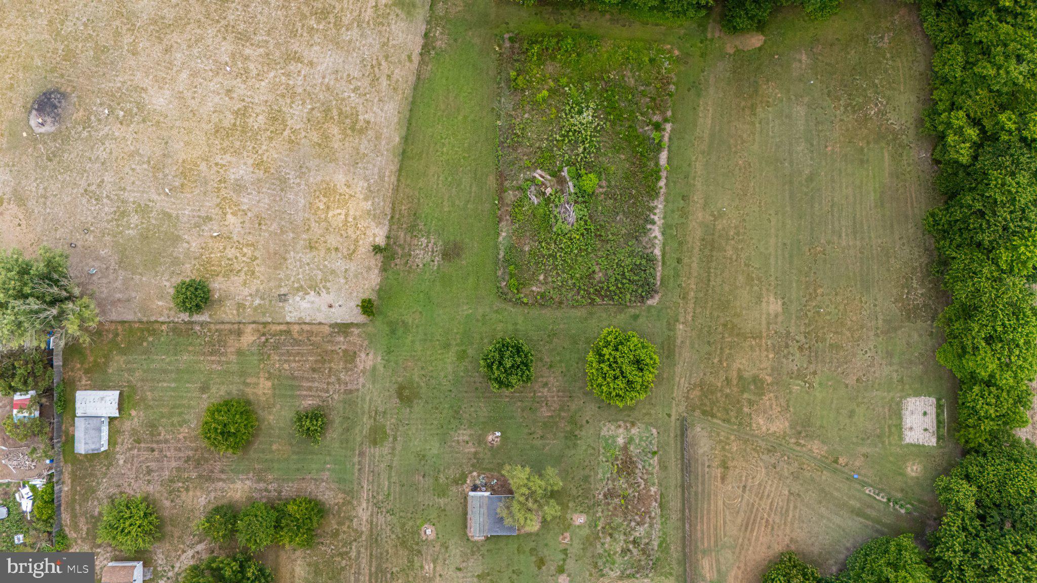 27864 Layton Road Laurel, DE 19956 - Photo 20 of 27 Lush greenery meets open fields.