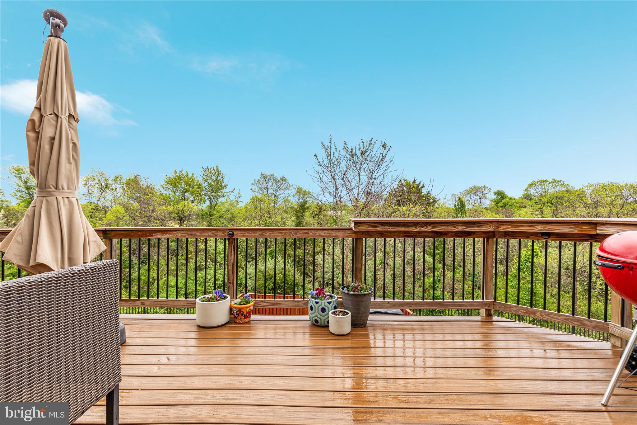118 Splendor Garden Way Stephenson, VA 22656 - Photo 37 of 50 Great deck for Entertaining